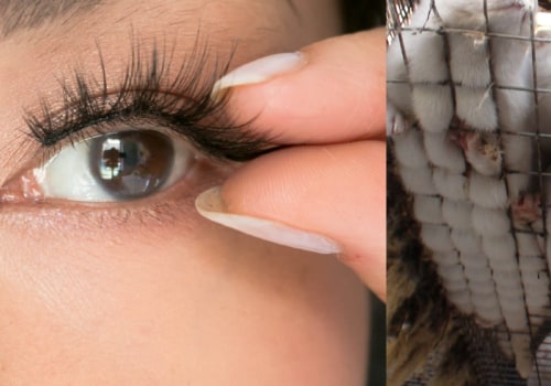 Where does fake lashes come from?